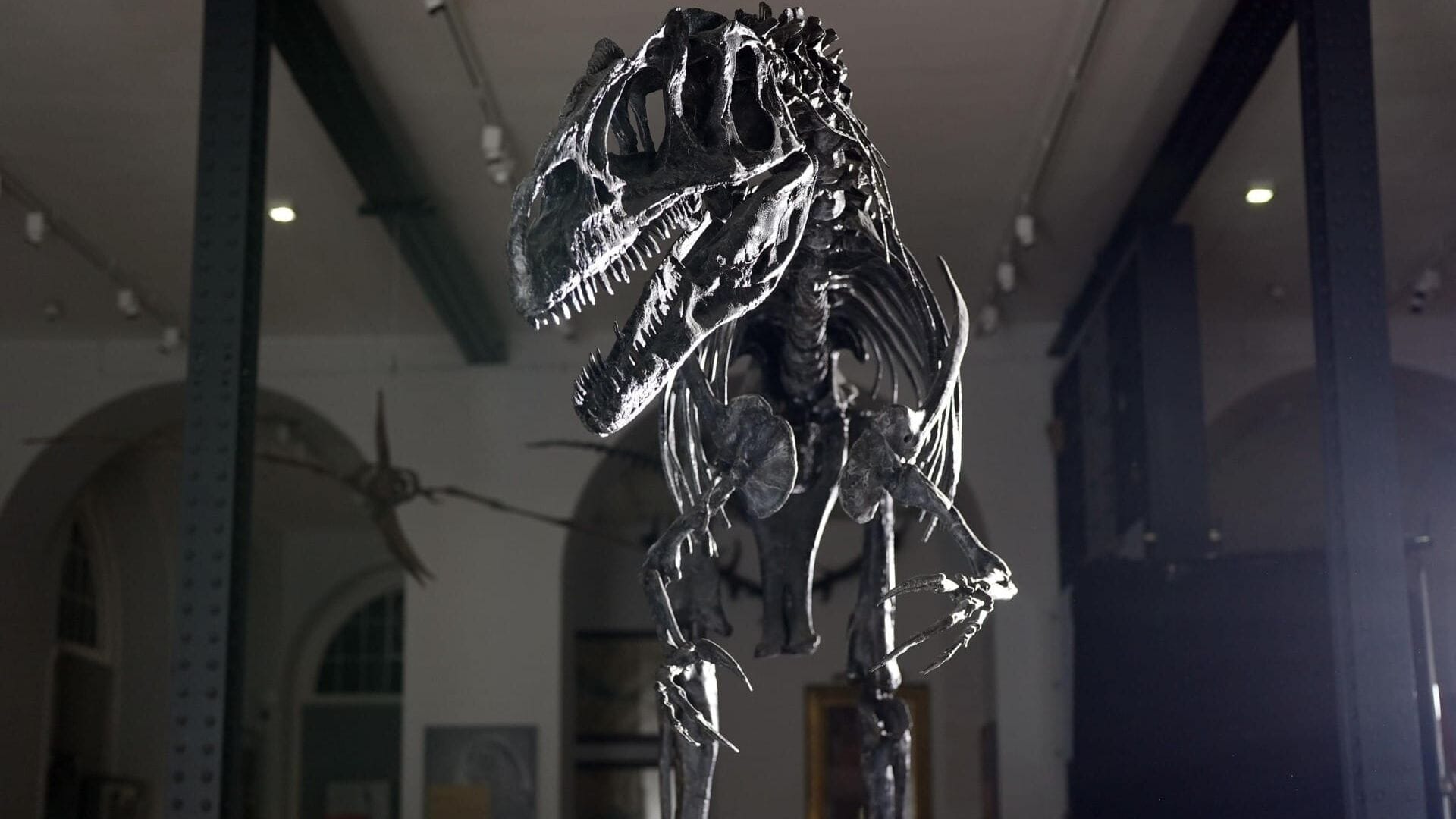 L'épopée des dinosaures avec Stephen Fry