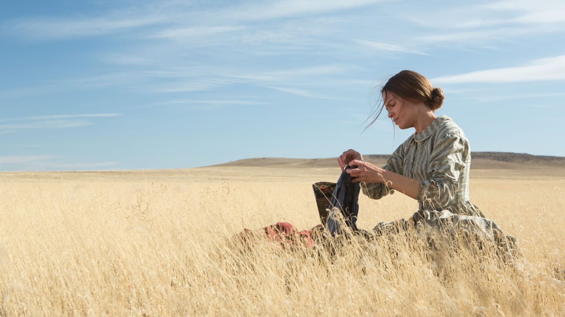The Homesman