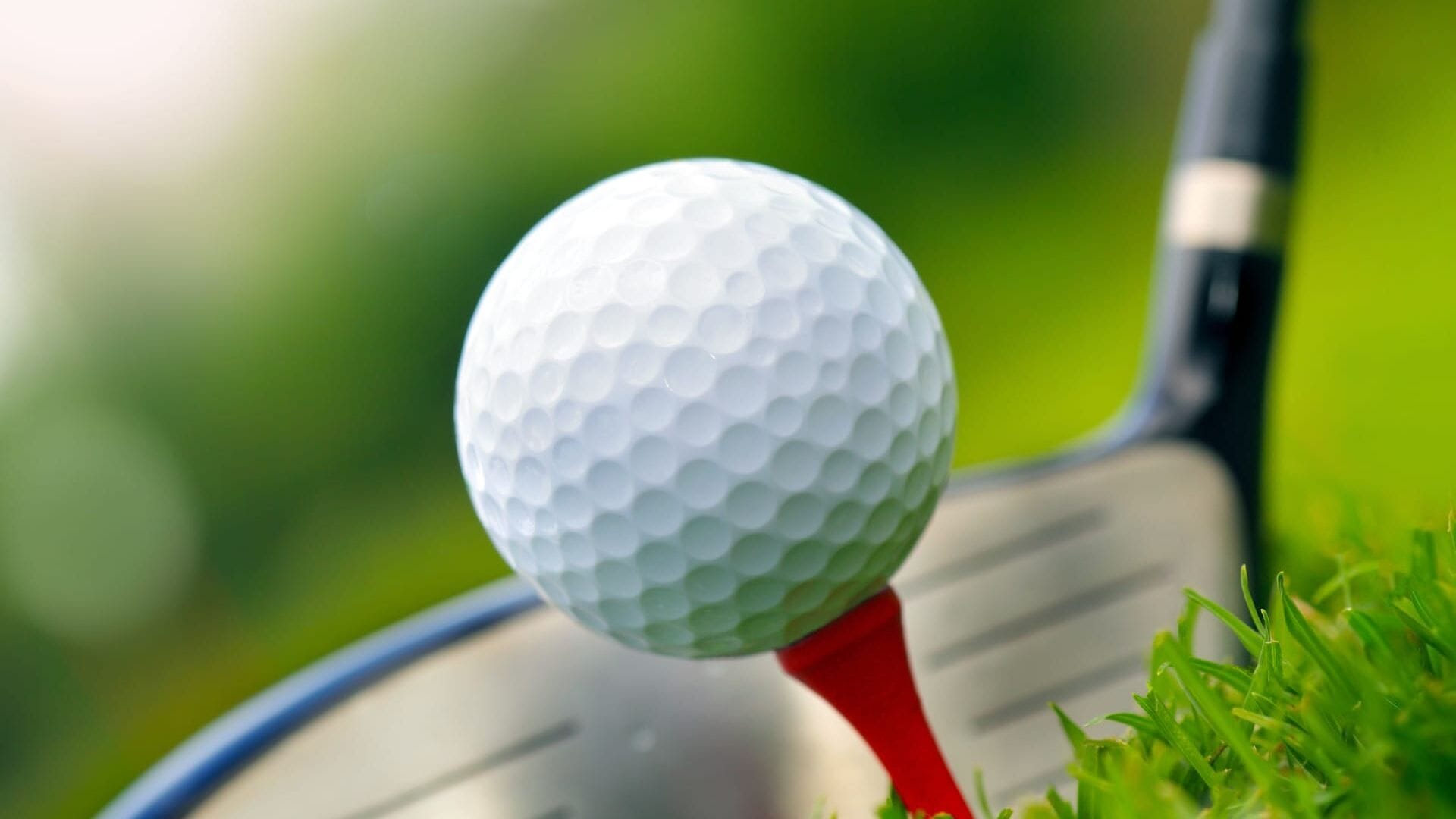 Histoire de champions Golf