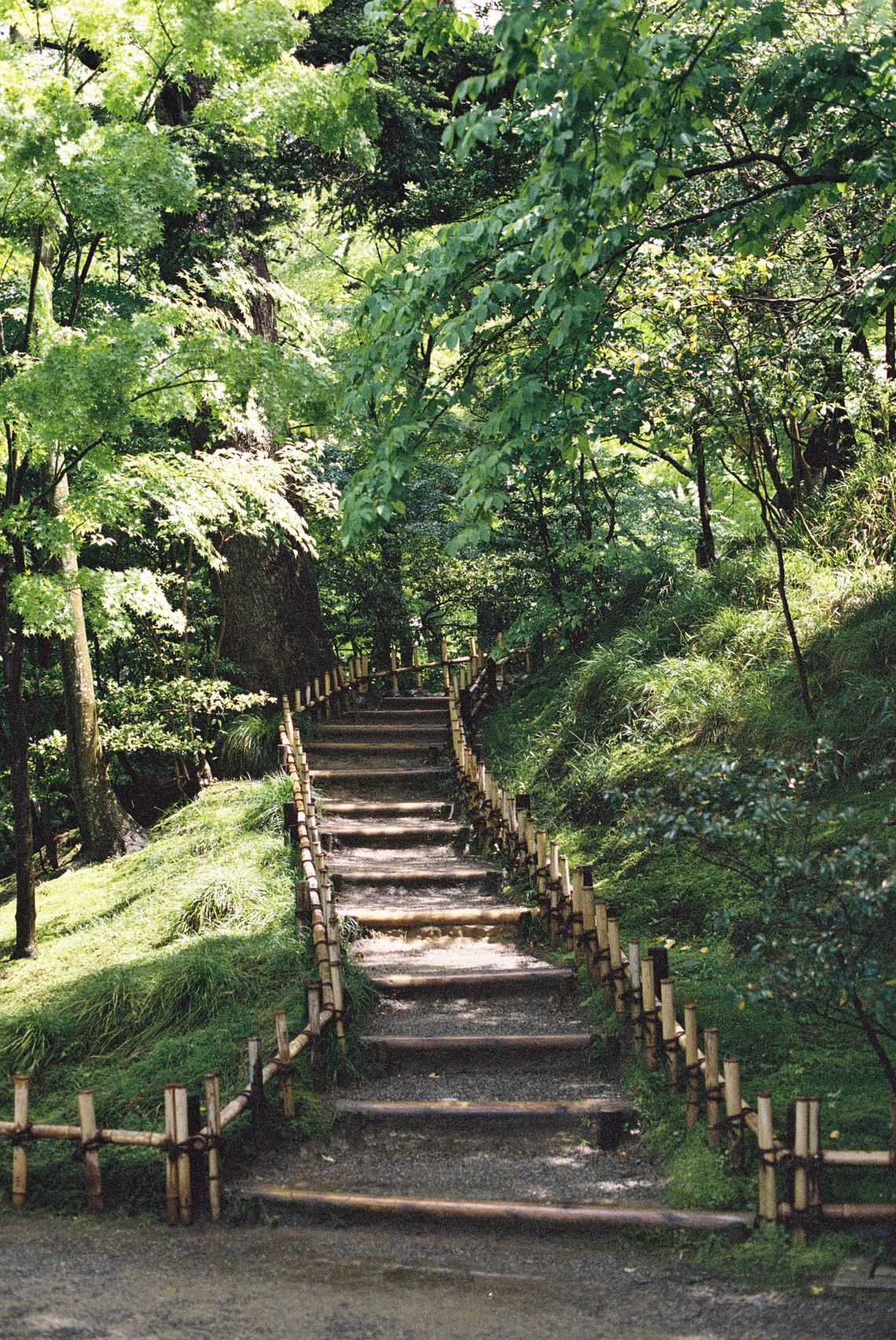 On Intentional Living