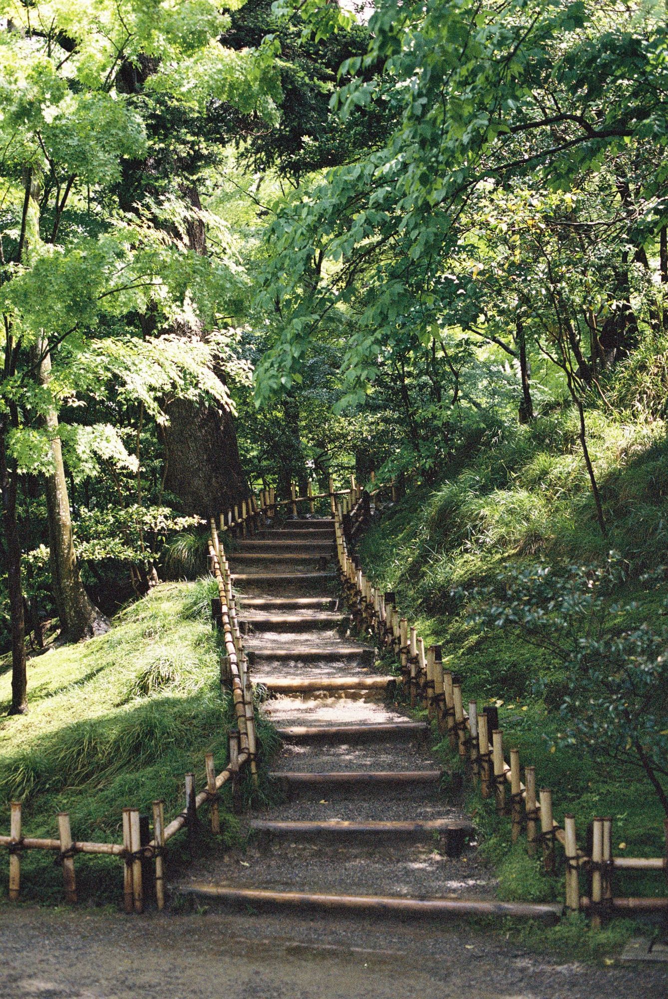 On Intentional Living