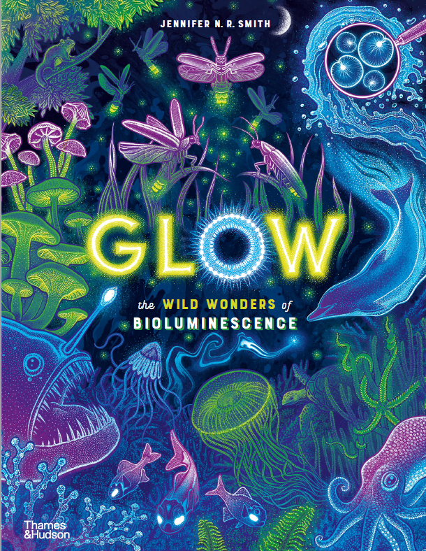Glow: The Wild Wonders of Bioluminescence (WILD WONDERS 시리즈 x 5)