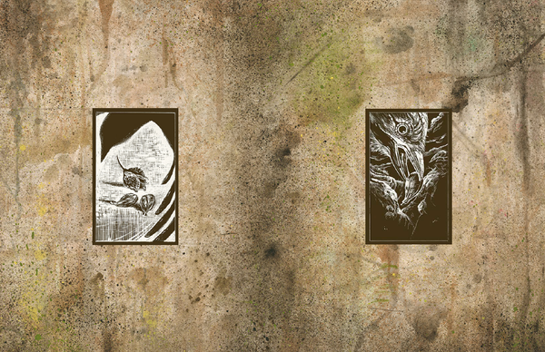 The Fox's Stump <여우의 나무 그루터기>