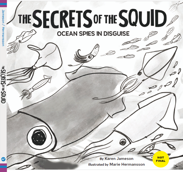 The Secrets of series <vol 2 Squid 오징어의 비밀>
