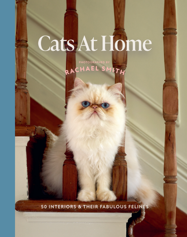 Cats at Home <고양이와 집: 50마리 고양이와 아름다운 인테리어>