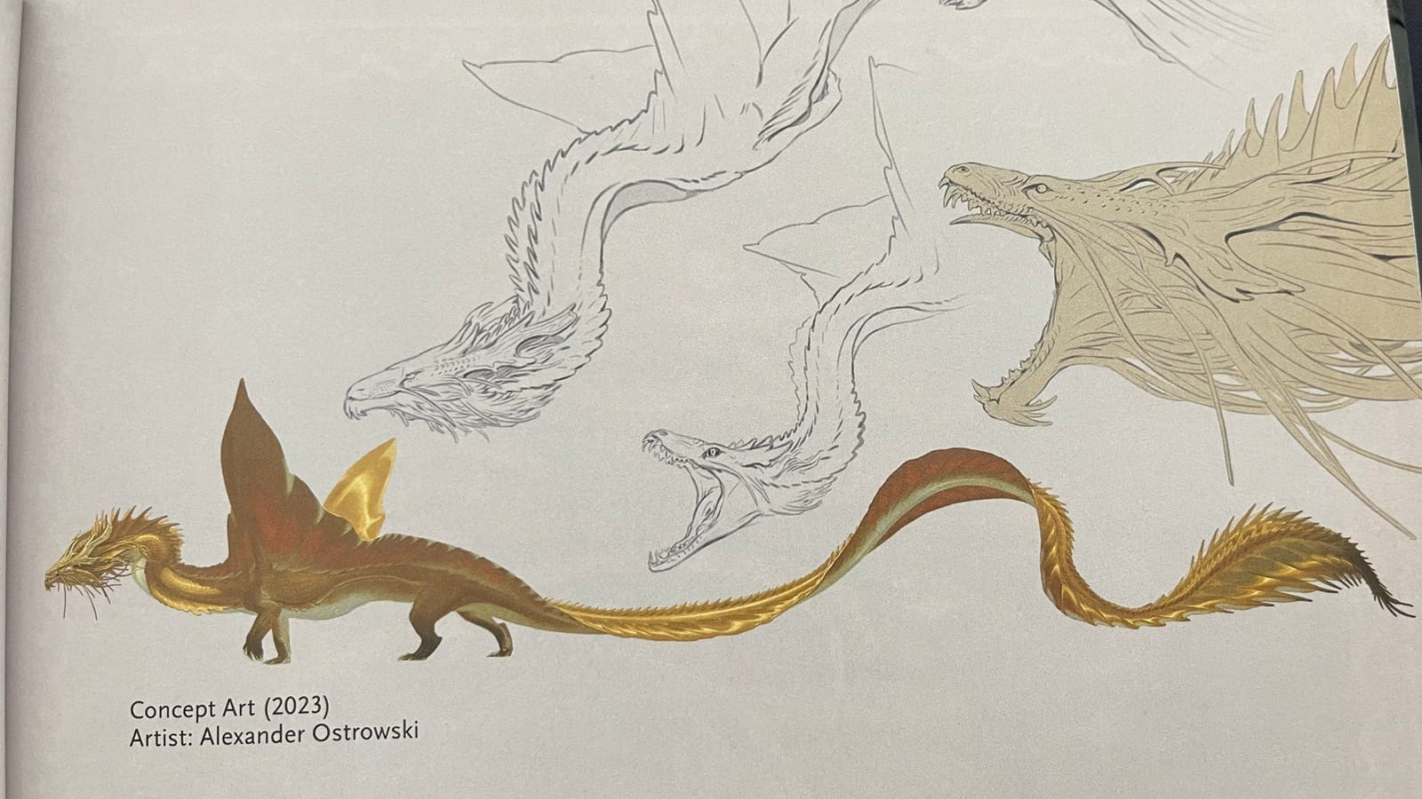A photo of part of the gold dragon artwork pages featuring a long, ribbon-like gold dragon with stubby wings, painted by Alexander Ostrowski in 2023.