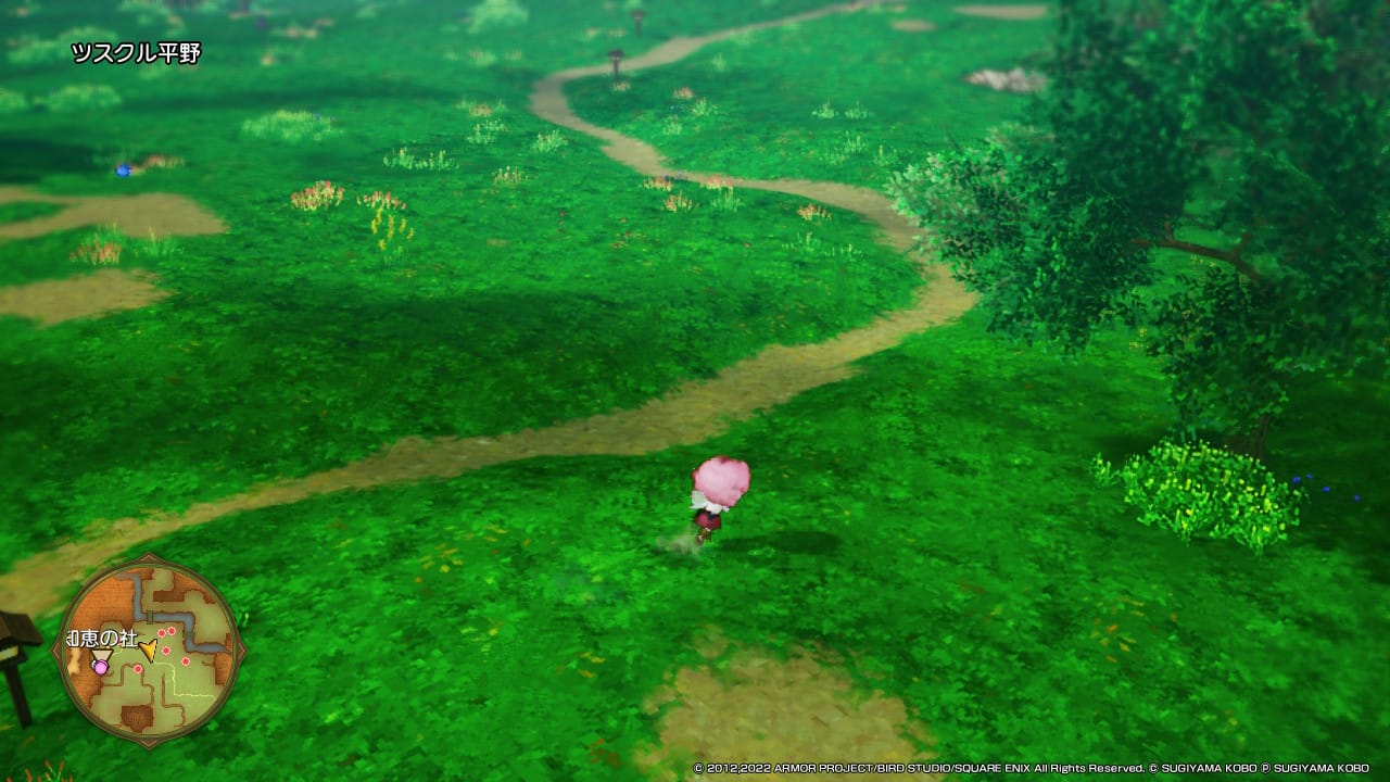 Exploring the world of Dragon Quest X Offline