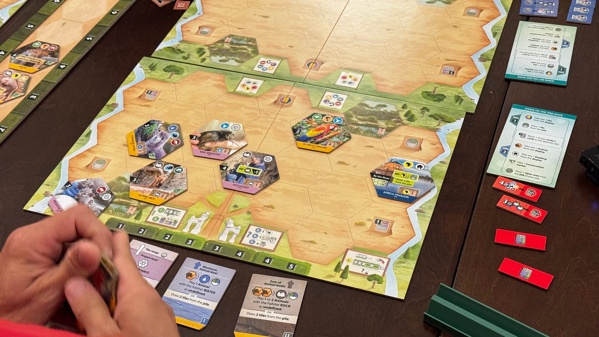 Sanctuary basically combines the cards with the tiles that go in your zoo.