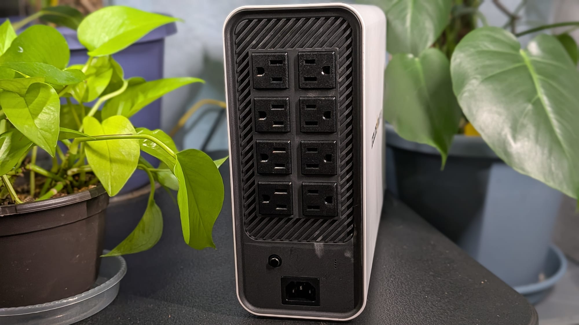 8 outlets, all surge-protected makes for a pretty nice power option