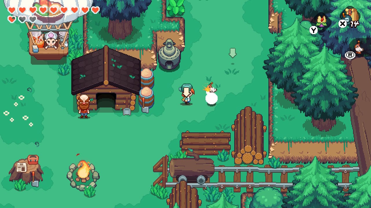 Using the bird to move a bomb. 