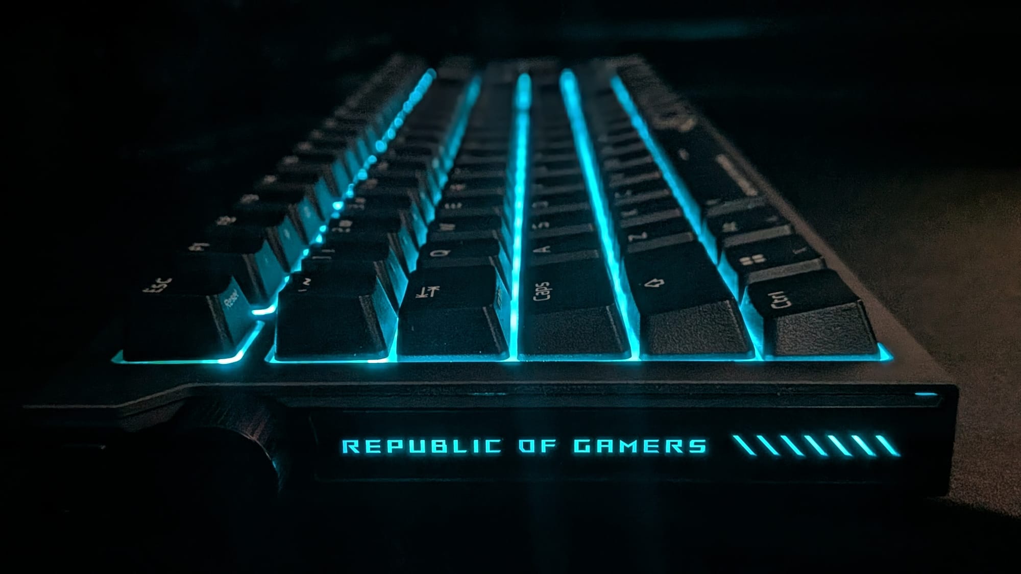 Lines that'll make you salivate