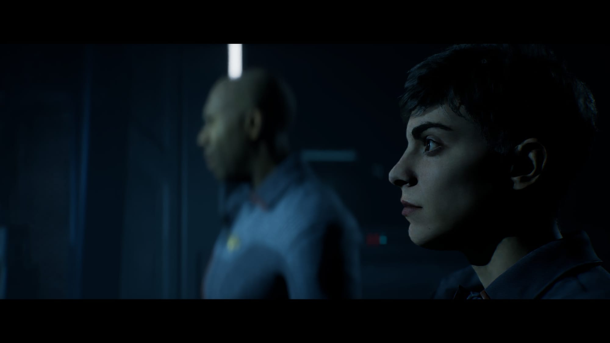 Directive 8020 preview