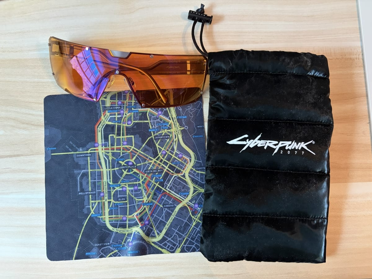 The glasses, their carrying sleeve, and the cleaning cloth. 