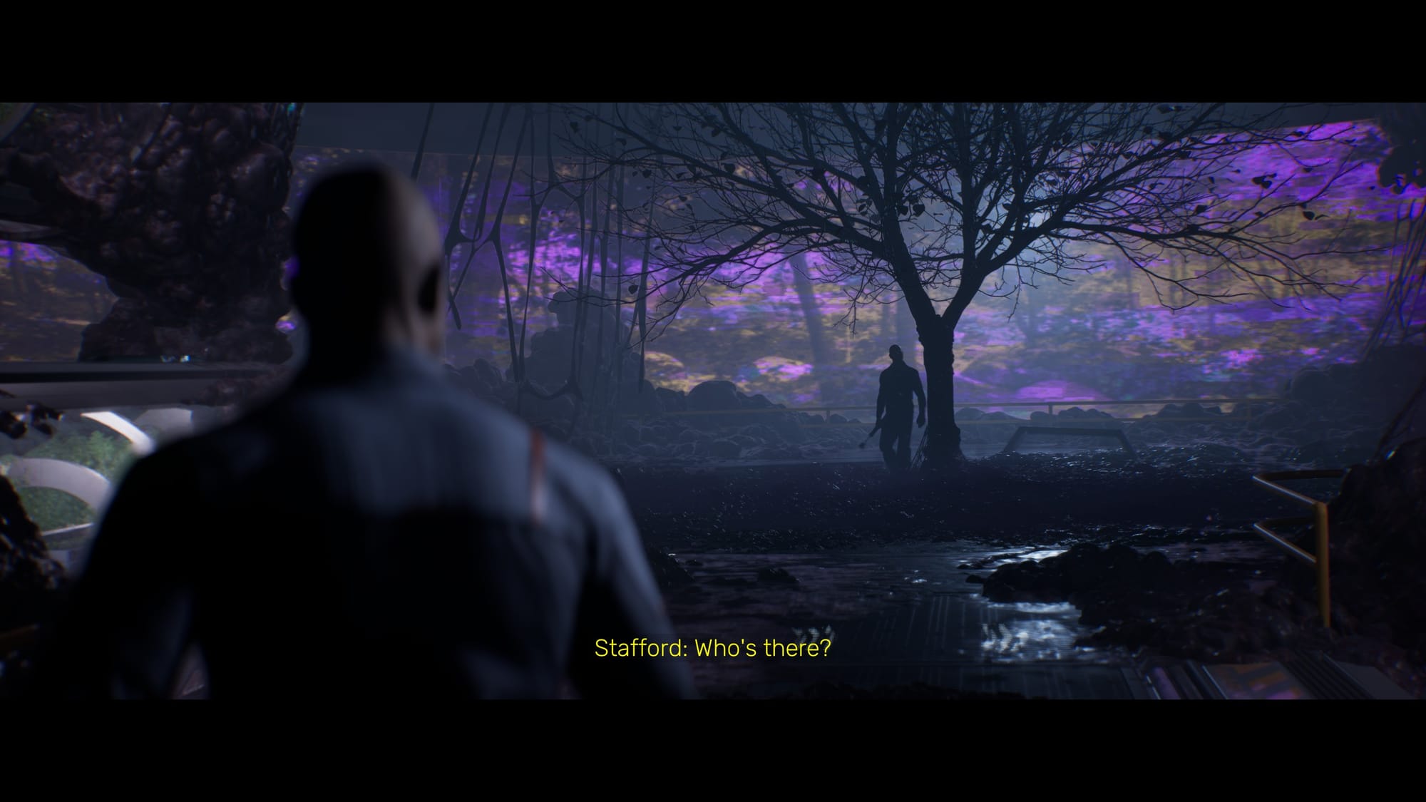 Stafford calling out to a mysterious figure. 