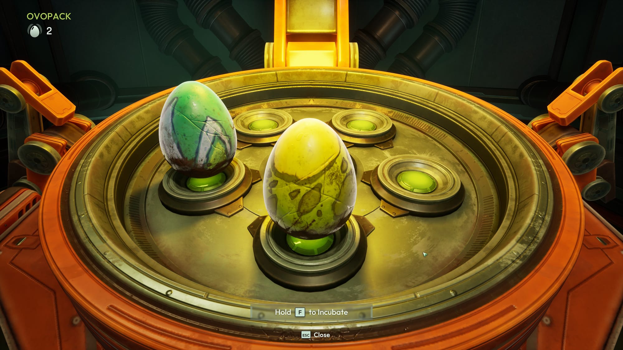 Between missions, you'll want to hatch your eggs and see what voidlings were inside!