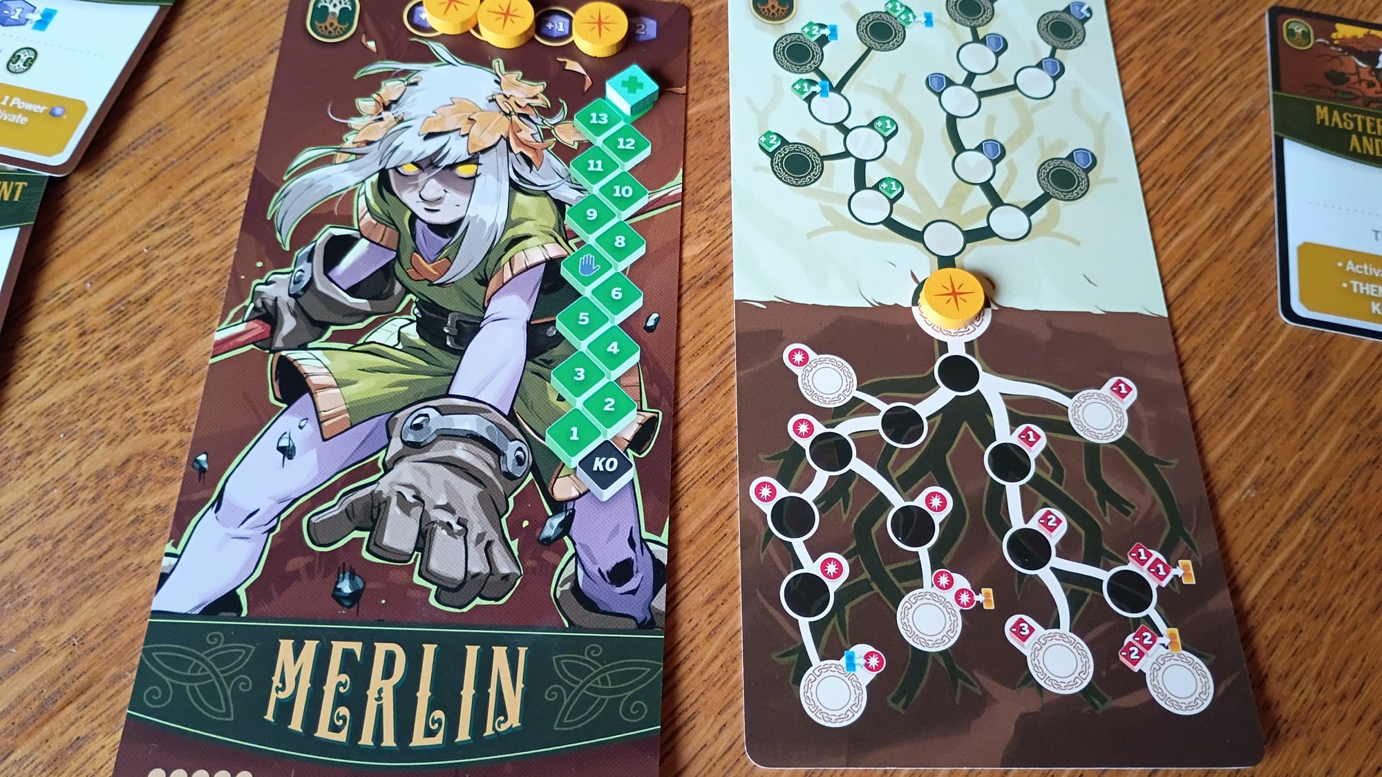 Merlin's boards
