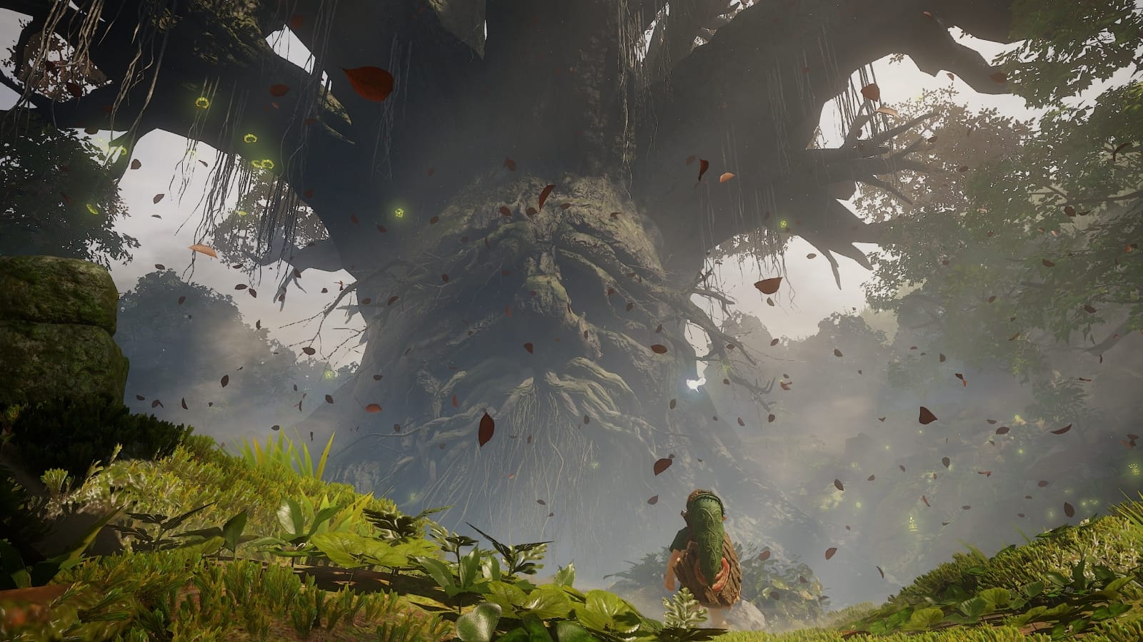 Link approaches the Great Deku Tree