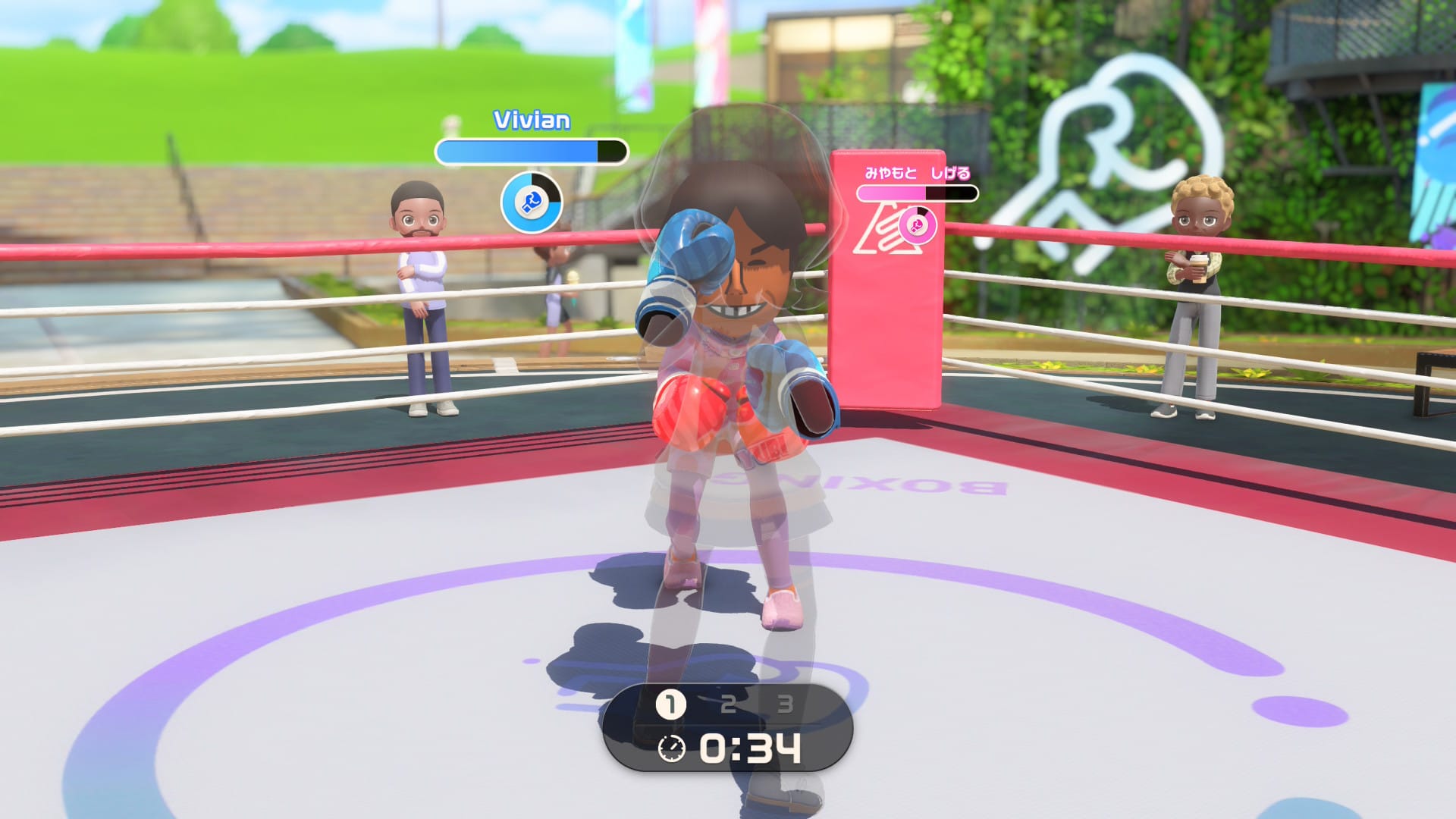 Boxing with Shigeru Miyamoto