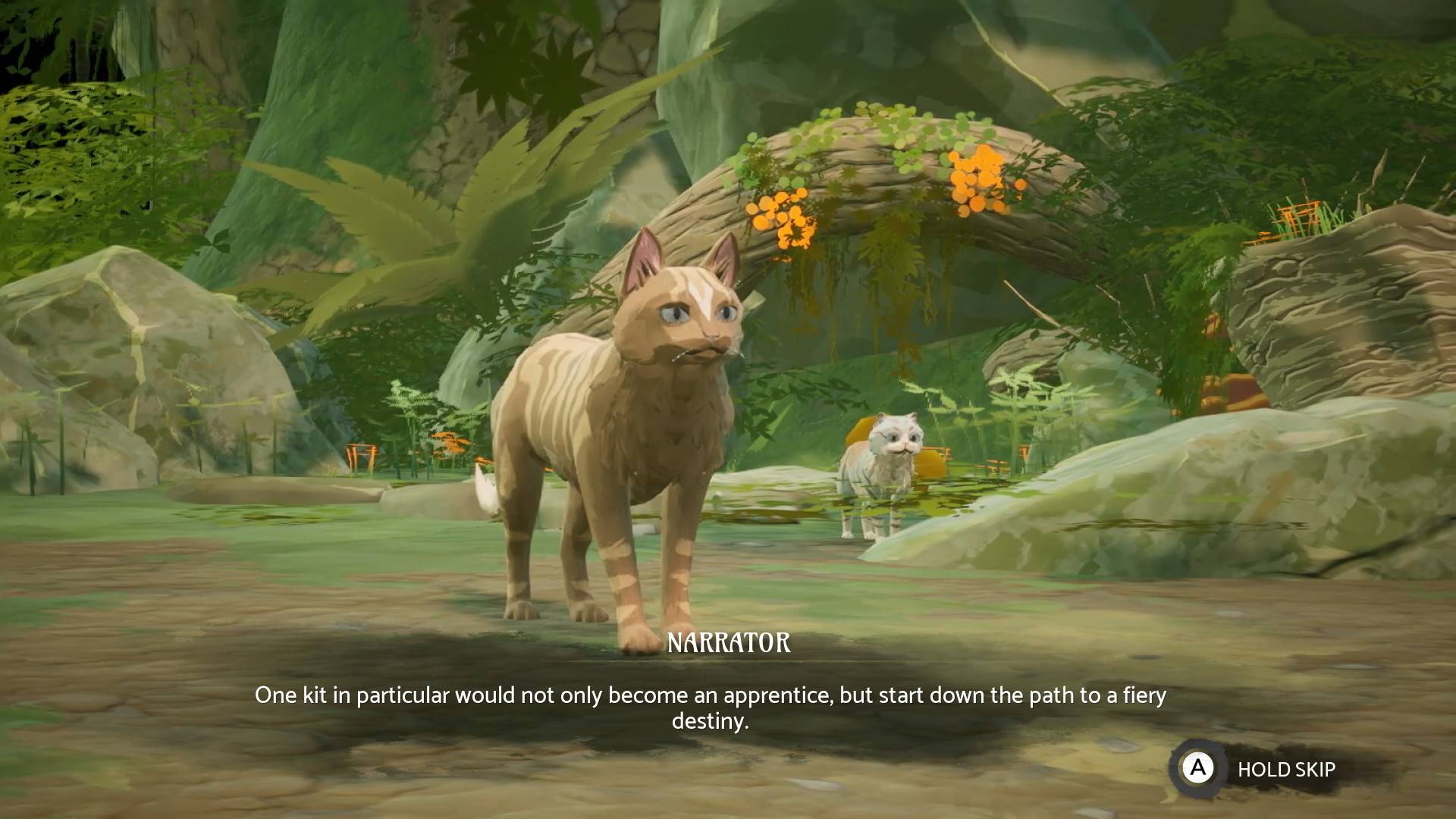 Warrior Cats: Clans of the Forest