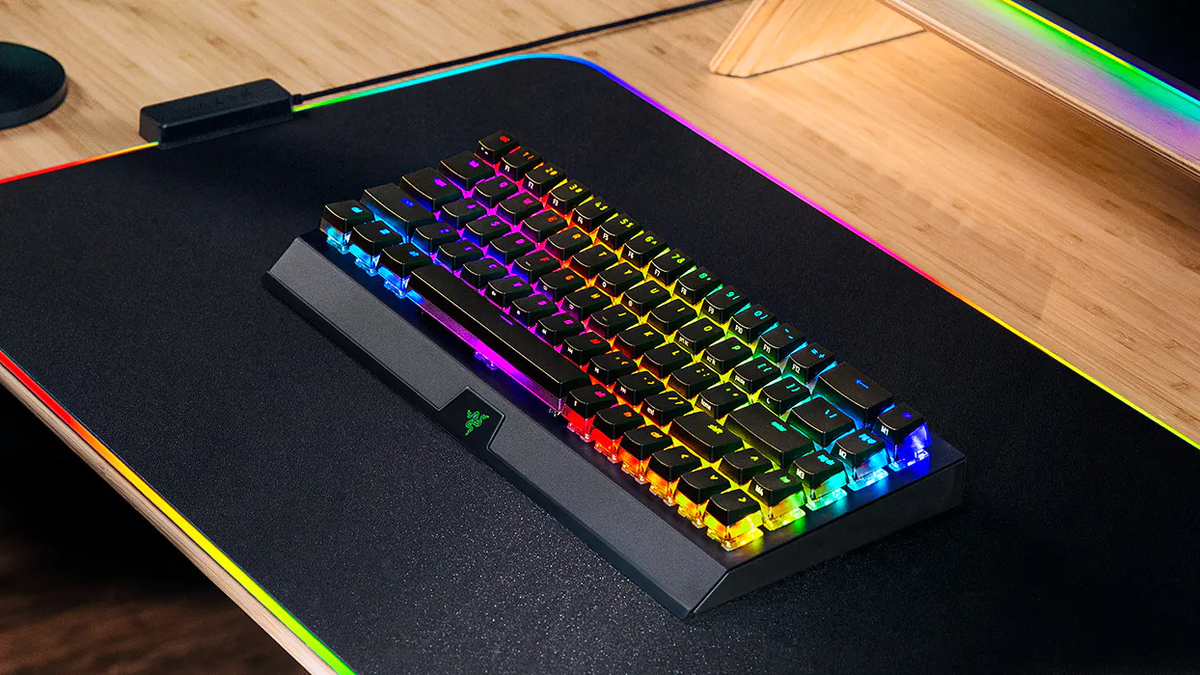 Razer BlackWidow Mini Hyperspeed 本体 razer-blackwidowv4-mini-