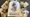 First Giants review