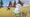 Aniimo is coming out this year!