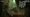 Turok: Origins is good at what it is: Unadulterated, dumb fun