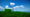 A reflective ball and a robot in a grassy field.