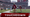 Madden NFL 27 Hands-Off Preview