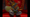 Conker sitting on his throne with a goblet
