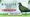Wingspan: Bird Pack: Additional Asian Avians now available