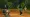 Shrek and Donkey sprinting down a dirt path through the swamp in DreamWorks Shrek 2 Remastered