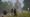 Wyldheart adventurers approach an overgrown castle tower with giant mushrooms growing from its top