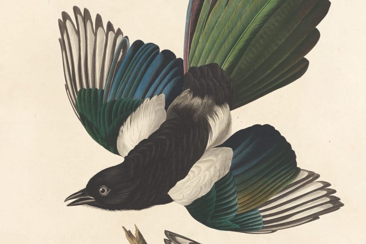 Paper Roundup July 2025: 3I/ATLAS "fanfiction," arsenic life retraction, K2-18b