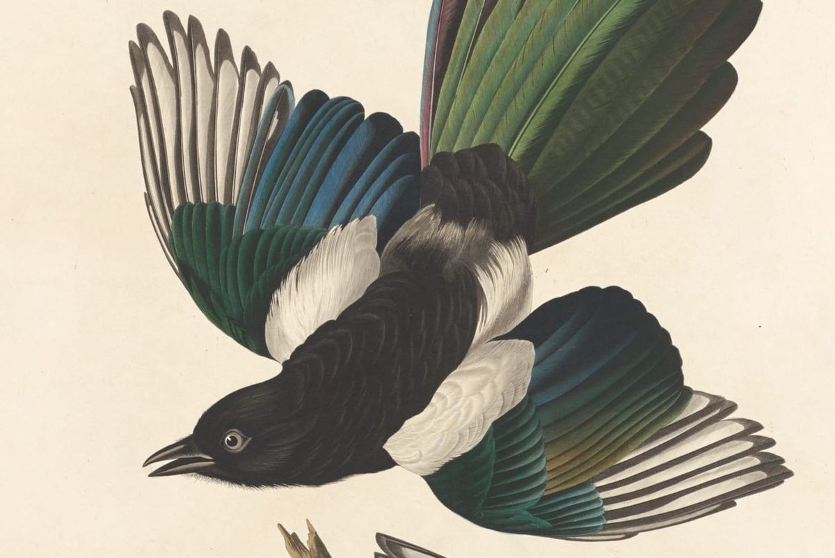 Weekly Research Roundups