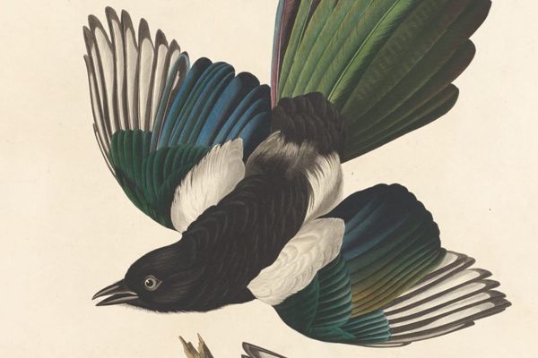 Paper Roundup December 2025: computing billiards,  an impossible atmosphere, and Roman constructions