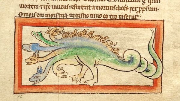 Hydra are a cosmos in a cuvette