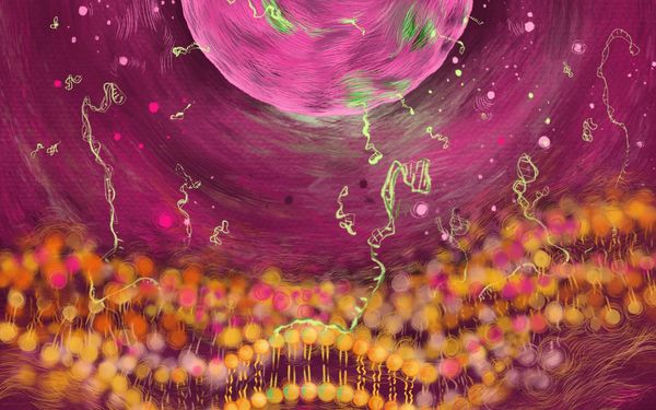 The origin of life wasn't fat-free