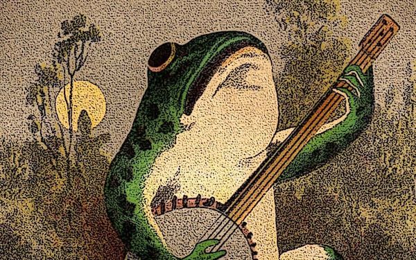 You and a frog might have the same taste in music