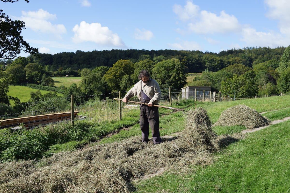 A guide to hay making by hand