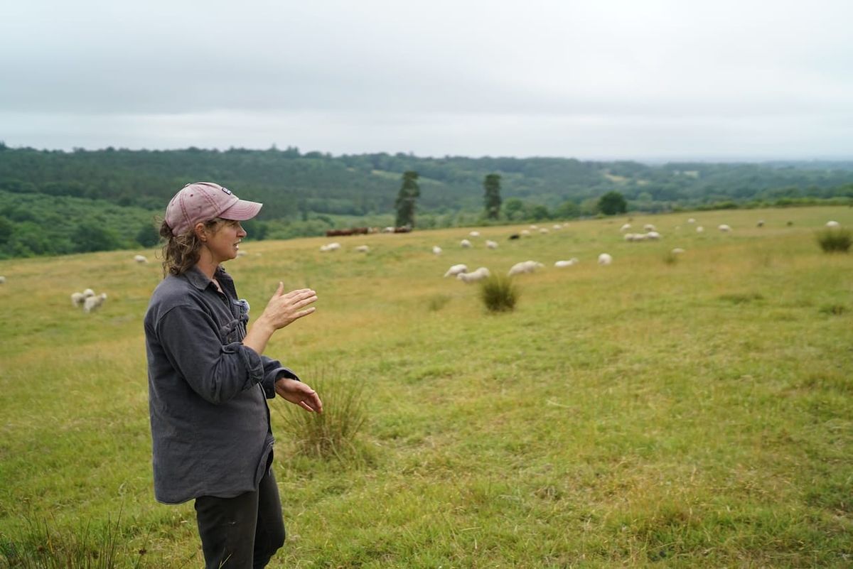 Sheep, sheepskins and shared responsibility: life on the land at Plaw Hatch Farm in Sussex