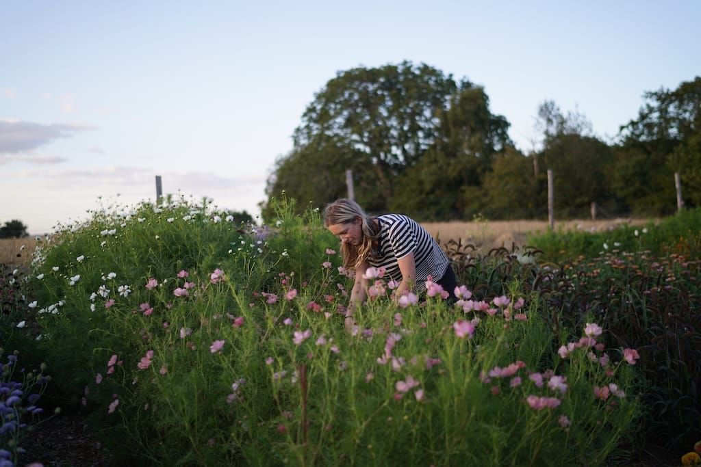 From London to flower farming: growing a new life at Dusky Slug Flowers