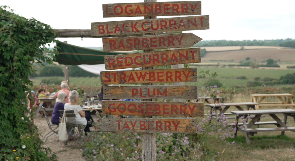 How Tibbs Farm is Building Resilience through Diversity