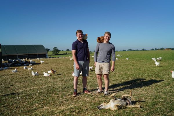 Farm Profile: Slow Grown Chickens at Fosse Meadows