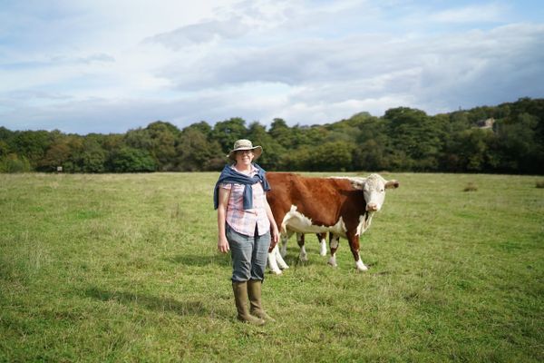 Starting from nothing with Lynnie Hutchinson at  Brickpits Organic Farm