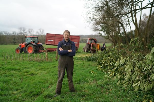 Organic Dairy Farming in the High Weald