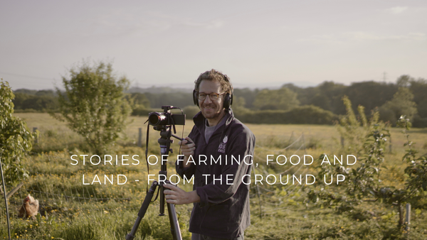Back in the field - new stories from Indie Farmer