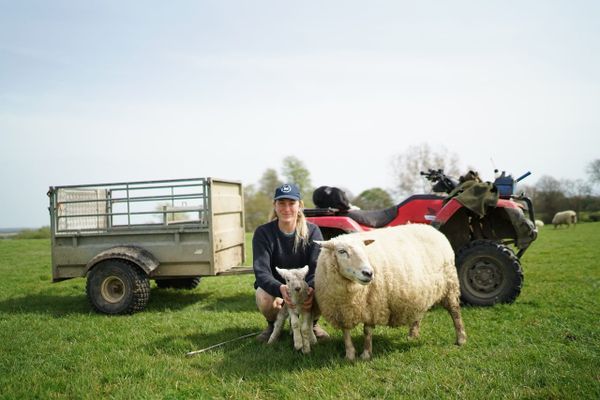Learning to Listen: A New Indie Farmer Film from Montague Farm