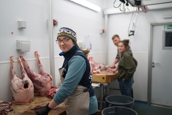 How Livestock Farms Add Value in the High Weald