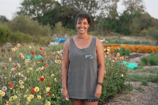 Growing enough: How Aweside Farm is rethinking resilience